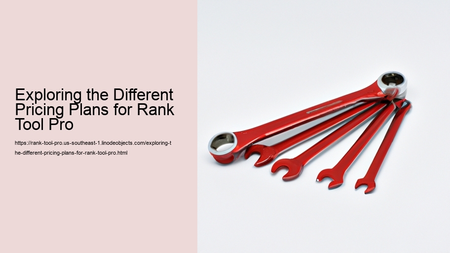 Exploring the Different Pricing Plans for Rank Tool Pro
